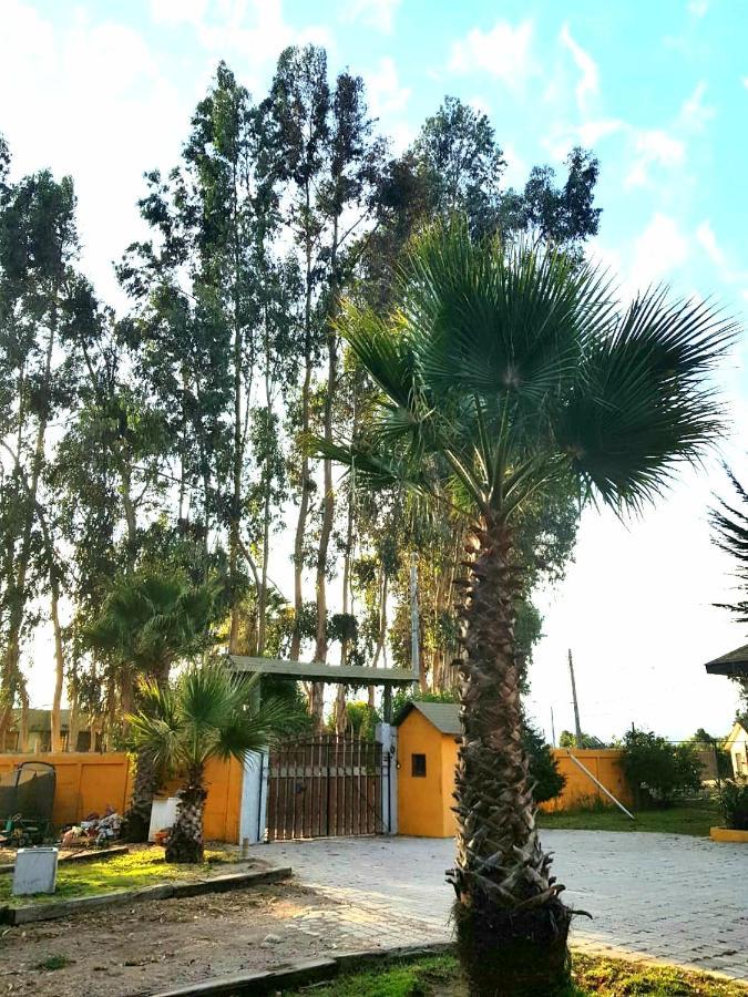 Casa Felice Guest House La Serena Bagian luar foto